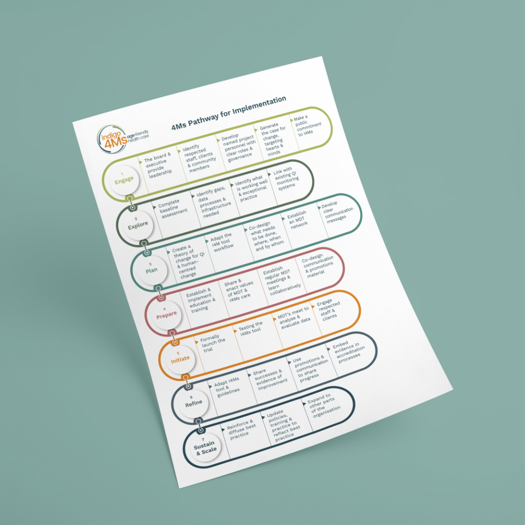 Age Friendly Indigo 4Ms - Implementation Pathway