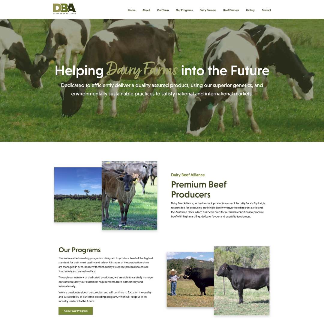 Dairy Beef Alliance - Website