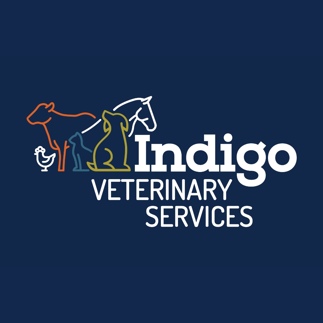 Indigo Veterinary Services - Logo Reversed